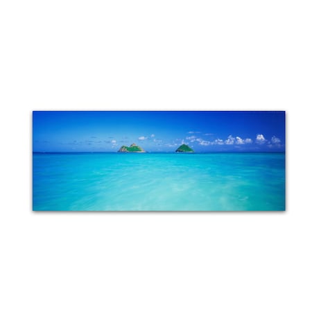 David Evans 'Twin Islands-Oahu' Canvas Art,16x47